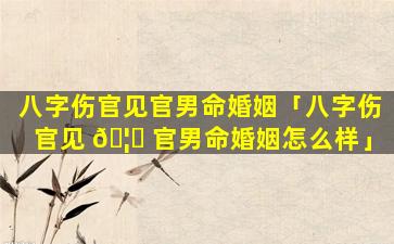 八字伤官见官男命婚姻「八字伤官见 🦈 官男命婚姻怎么样」